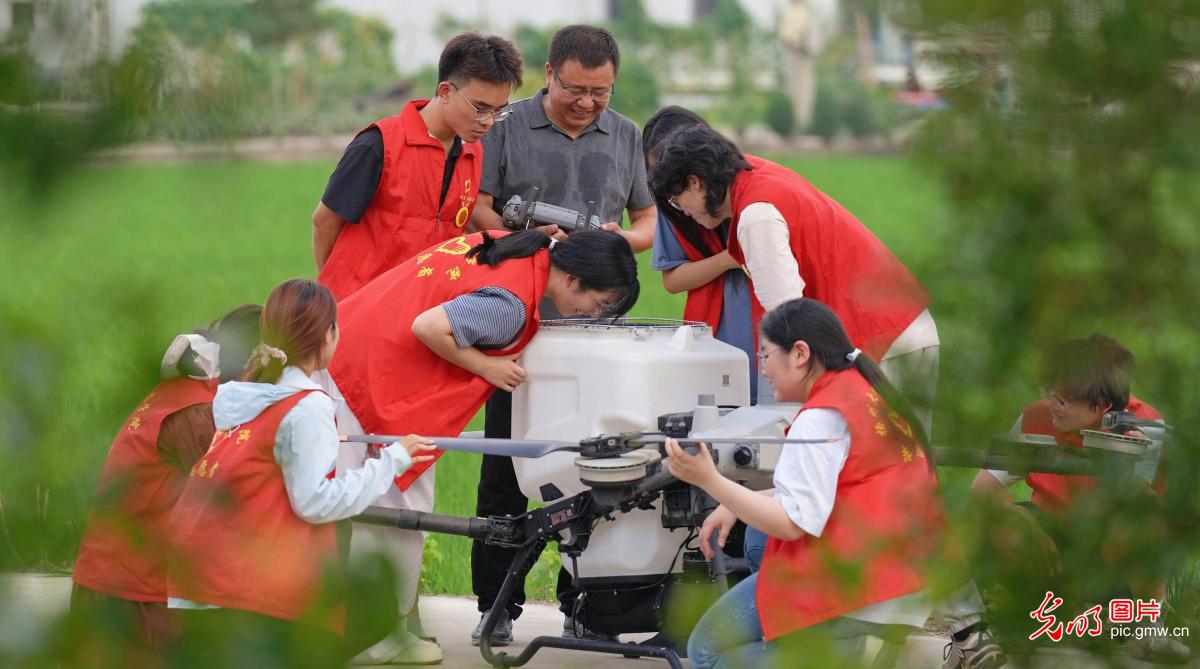 扎根乡土 深耕服务 新时代大学生的盛夏答卷 扎根乡土 深耕服务 新时代大学生的盛夏答卷